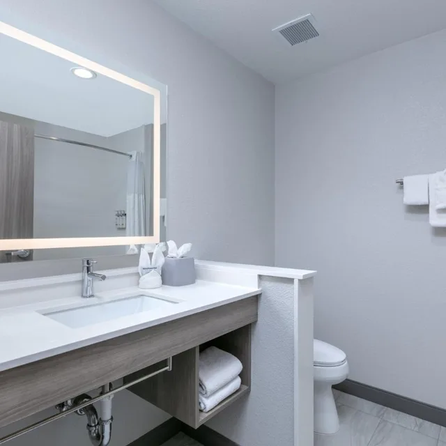 Xtra Space, Standard, King Bed، Holiday Inn Express & Suites - Dallas Plano North, an IHG Hotel 9/9