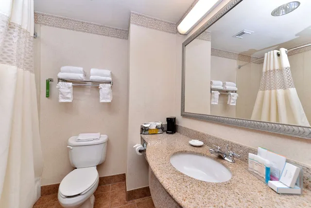 جناح استوديو بسرير كينج مع أريكة، Hampton Inn Houston Deer Park Ship Area 5/5
