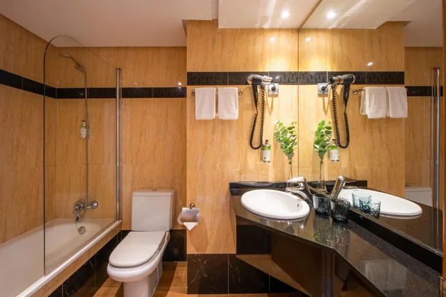 غرفة بريميوم بسريرين منفصلين، Hotel San Sebastian Orly, Affiliated by Melia 5/6
