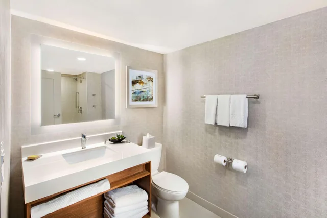 غرفة ديلوكس، Doubletree By Hilton San Antonio Northwest 5/5