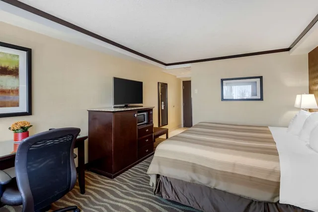غرفة قياسية بسرير كينج، Best Western Plus Edmonton Airport 3/6