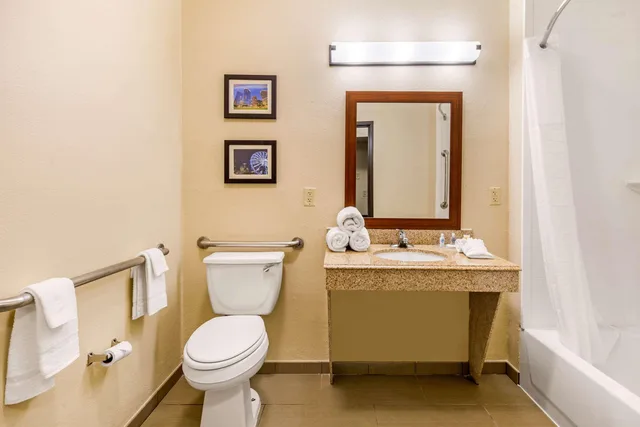 جناح بسرير كينج، Comfort Suites Humble Bush Intercontinental Airport 4/5