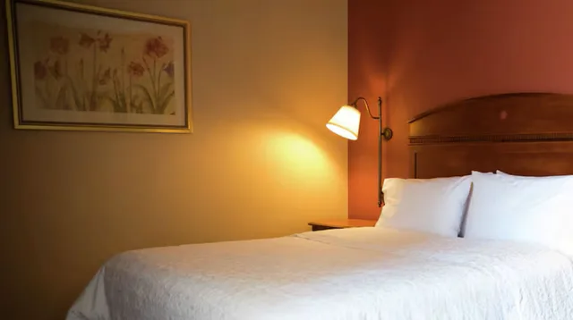 غرفة بسرير كينج، Hampton Inn Mountain Home 1/1