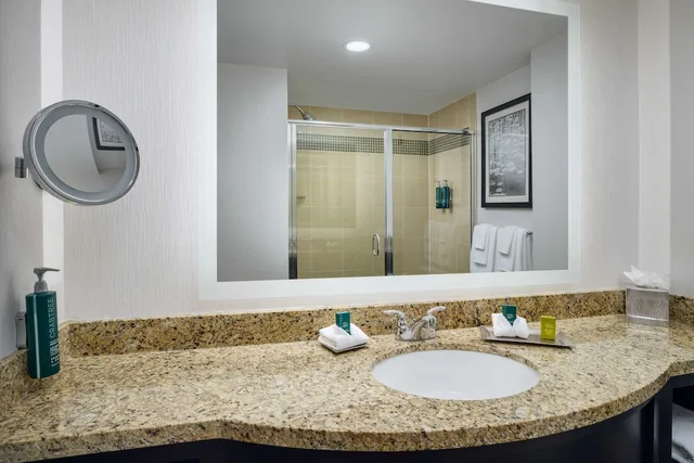 Classic, King Bed, Accessible, Hilton Richmond Hotel & Spa/Short Pump 7/8