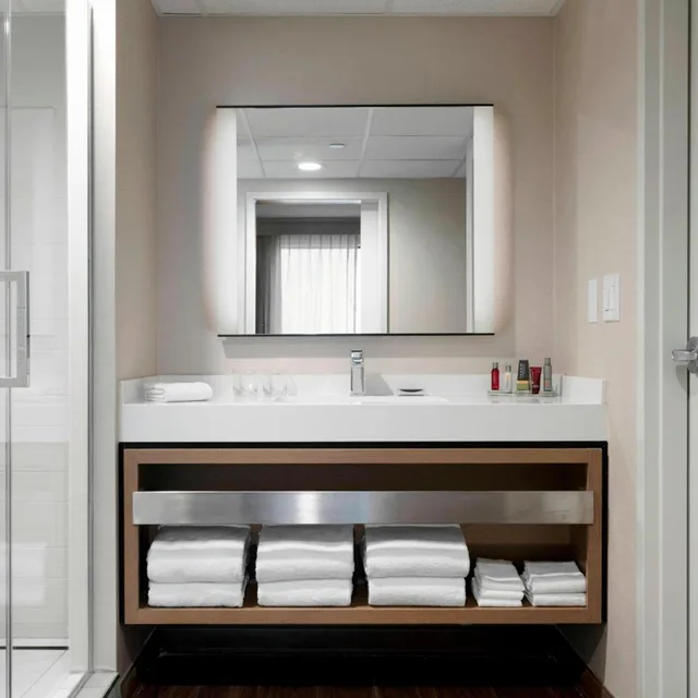 غرفة بسرير كينج بحوض استحمام لذوي الإعاقة، Des Moines Marriott Downtown 4/8
