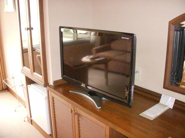 غرفة قياسية بسريرين منفصلين، Hotel Izukyu 10/10