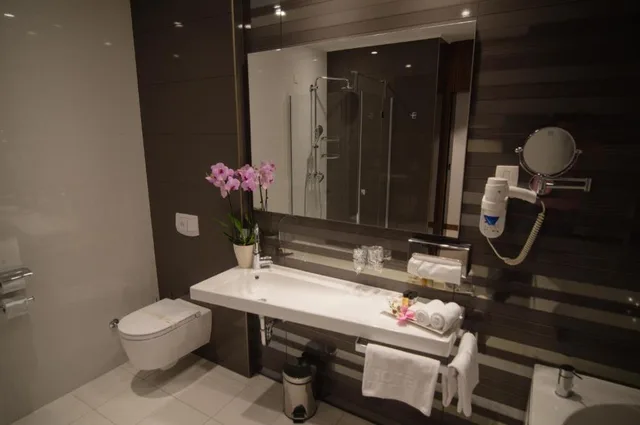 Superior, Suite, King Bed, Hotel Mepas 5/5