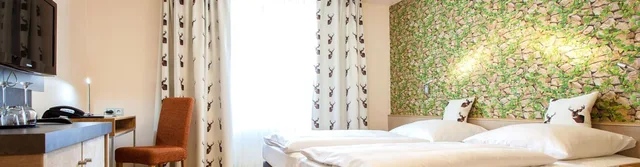 غرفة كومفورت، Hirsch Hotel 3/8