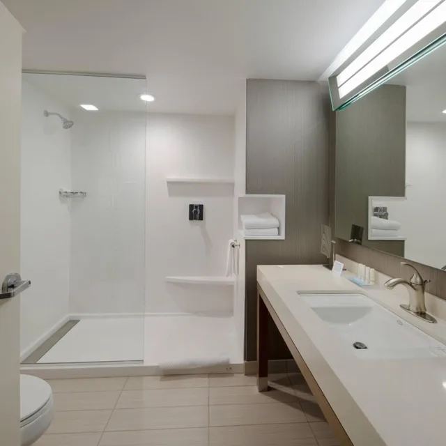 Room, King Bed, Bathtub, Accessible, Hotel Courtyard By Marriott Russellville 4/4