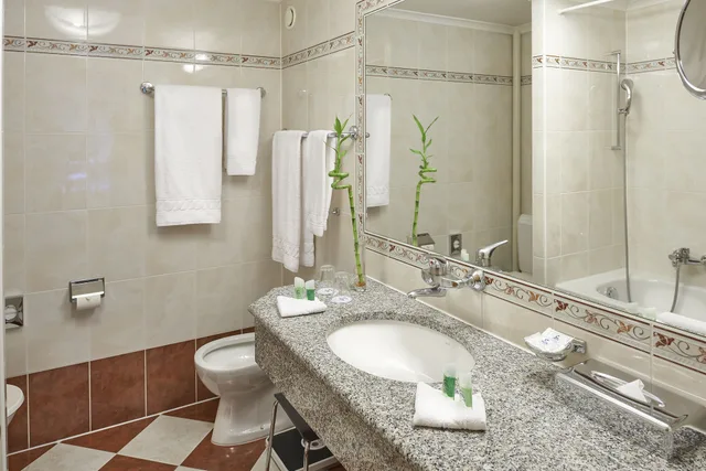 Junior Suite, Double Bed, EUROTEL VICTORIA LES DIABLERETS 2/4