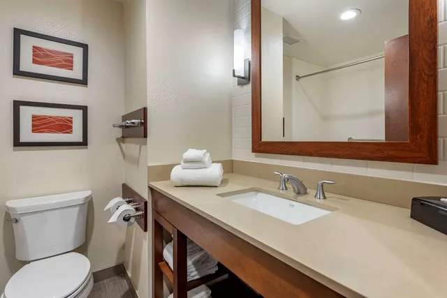 غرفة بسرير كينج لذوي الإعاقة، Comfort Inn & Suites Pittsburgh South 2/3
