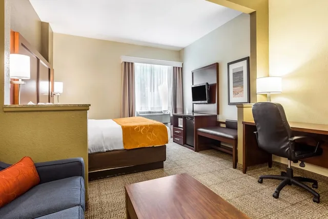 Suite, King Bed, Sofa, Comfort Suites At The University 7/10
