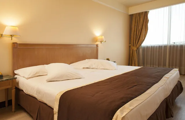 غرفة ديلوكس بسرير مزدوج، Shg Hotel De La Ville Vicenza 4/9