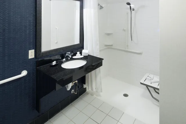 Room, King Bed, Bathtub, Accessible, Fairfield Inn And Suites Orlando At Seaworld 7/10