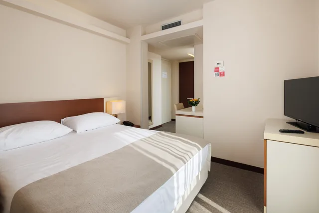 غرفة قياسية بسرير مزدوج، Hotel Albatros Plava Laguna 6/10