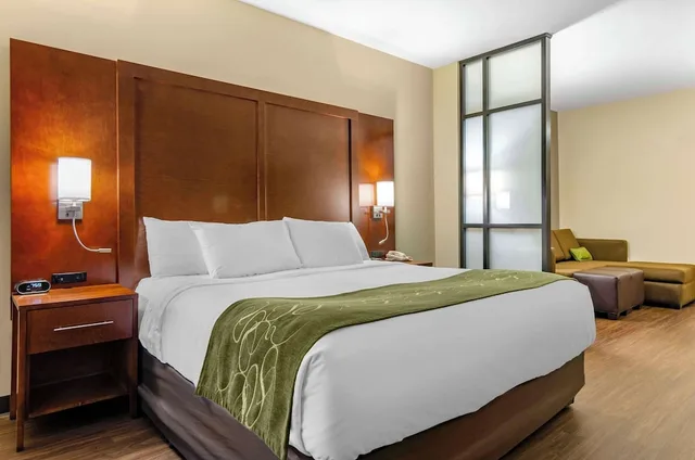 جناح بسرير كينج مع أريكة لذوي الإعاقة، Comfort Suites Helena Airport 3/7
