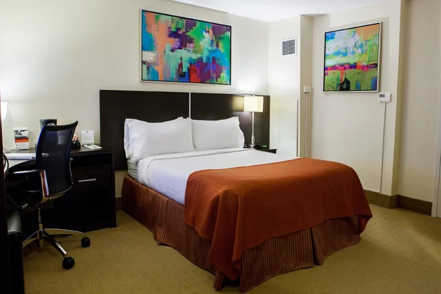 غرفة قياسية بسرير فردي، HOLIDAY INN TORONTO DOWNTOWN CENTRE 2/10