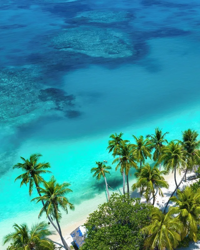 Araamu Holidays and Spa، Male 48/60