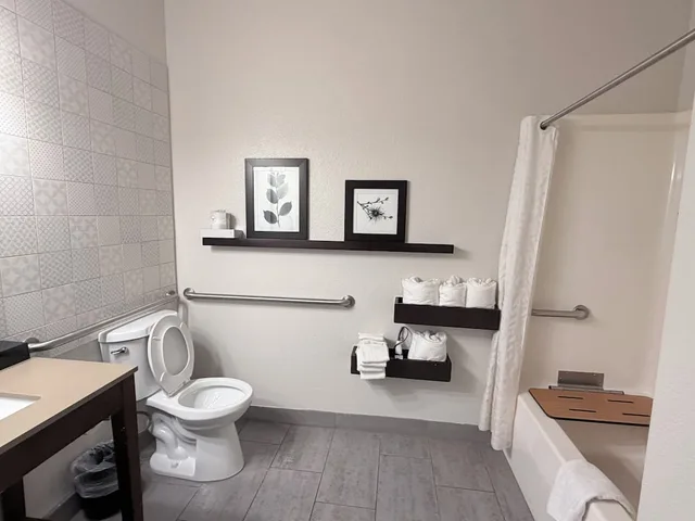 غرفة بسرير كينج لذوي الإعاقة، Country Inn & Suites by Radisson, Novi, MI 5/8