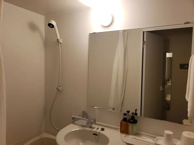 غرفة بسرير مزدوج، Business Hotel Hayashiso 3/3