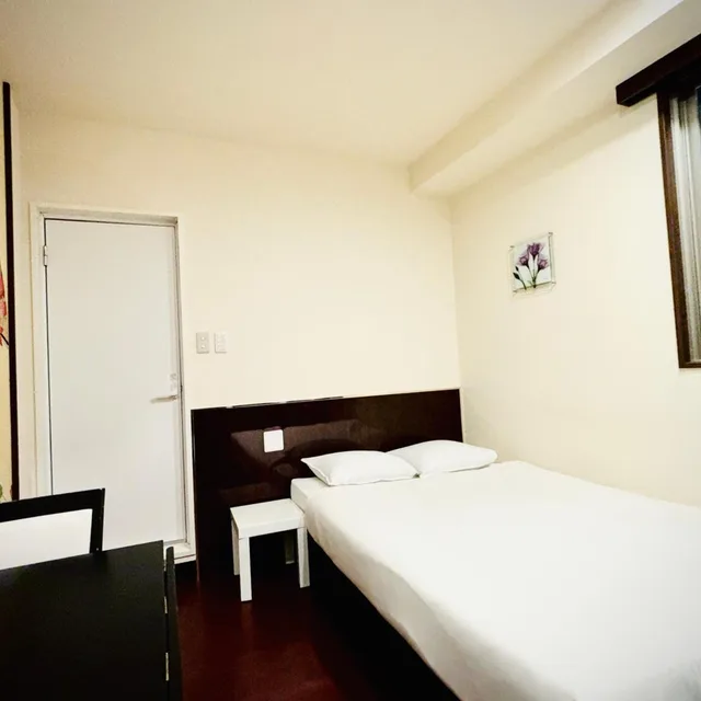 غرفة بسرير مزدوج، Arashi Hotel Namba 4/10