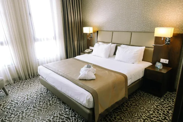 غرفة قياسية، Holiday Inn Aktau 1/3