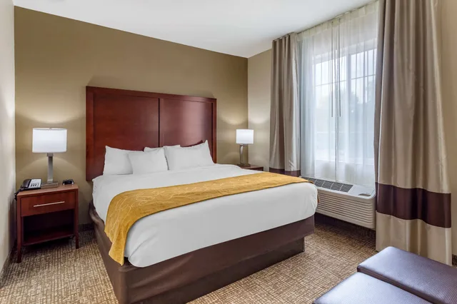 غرفة قياسية بسرير كينج، Comfort Suites Clarksville near Governors Square Mall 2/3