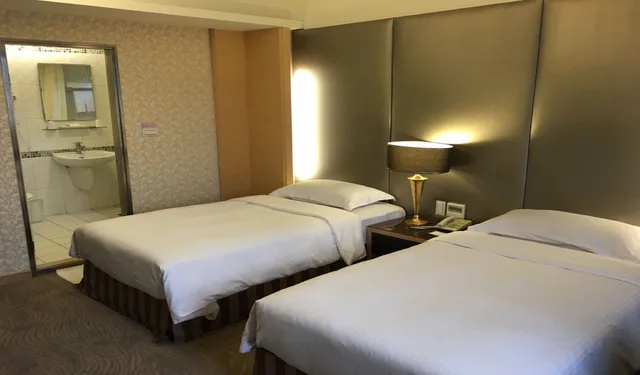 Superior, Twin Beds, No Parking، The Metro Hotel 3/4
