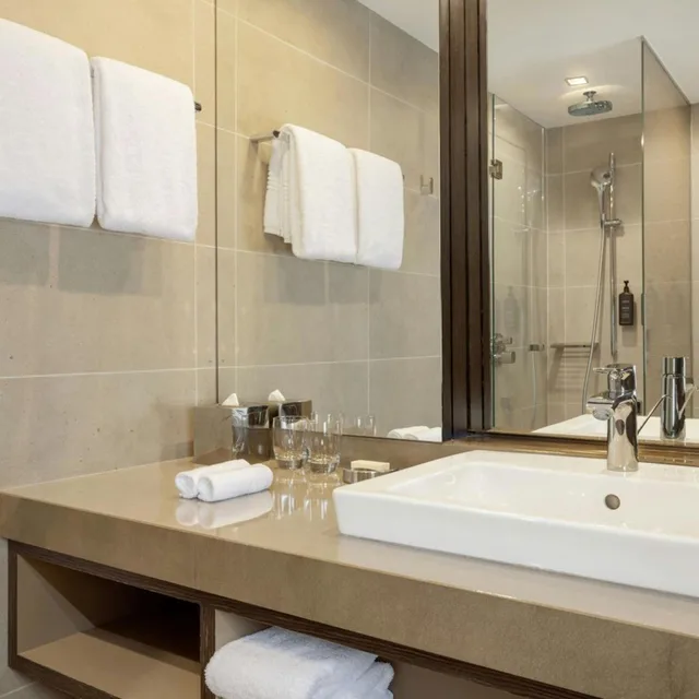 غرفة ديلوكس بسرير كينج بإطلالة على المدينة بشرفة، Sheraton Grand Tbilisi Metechi Palace 4/6