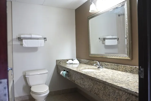 غرفة قياسية بسرير كينج لذوي الإعاقة، American Inn & Suites Waterford 3/6