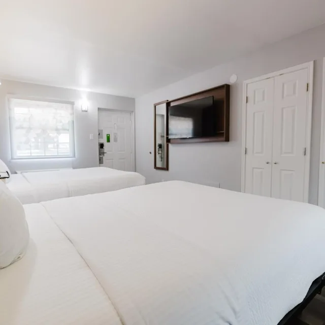 غرفة بسرير مزدوج لذوي الإعاقة، La Quinta Inn by Wyndham Amarillo Mid-City 5/9