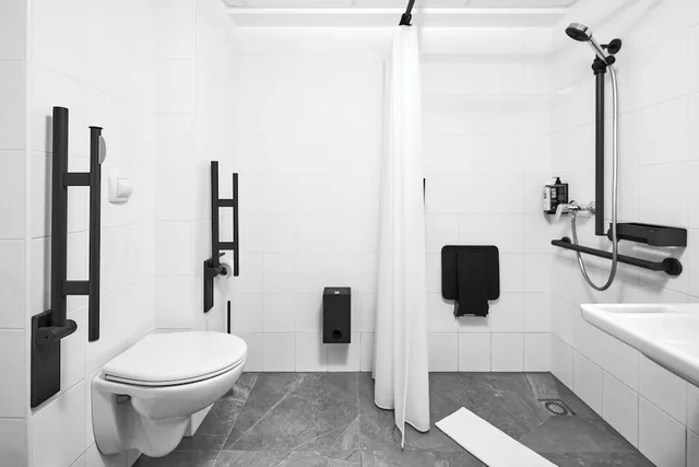 Renovated, Superior, Double Bed, Accessible، Ibis Praha Wenceslas Square Hotel 8/9