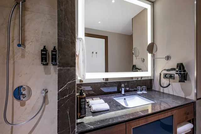 غرفة قياسية بسريرين منفصلين، Tbilisi Philharmonic by Mercure Hotel 8/9