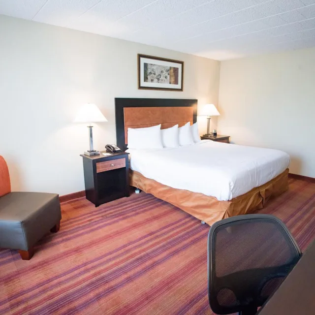 غرفة بسرير كينج لذوي الإعاقة، Exton Hotel And Conference Center 5/8