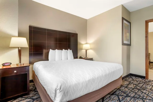جناح بسرير كينج لذوي الإعاقة، Best Western Plus Hobby Airport Inn and Suites 3/5
