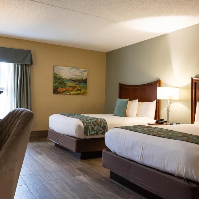 جناح بسرير كوين، D. Hotel and Suites 1/4