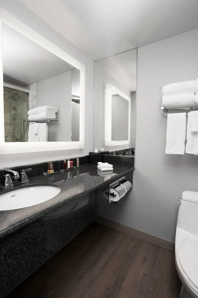 جناح بسرير كينج بإطلالة مع أريكة، Niagara Falls Marriott on The Falls 2/3