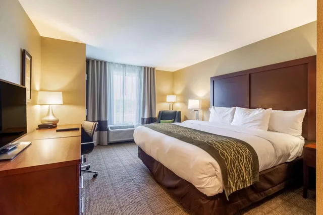 غرفة بسرير كينج، Comfort Inn & Suites - Harrisburg Airport - Hershey South 3/5