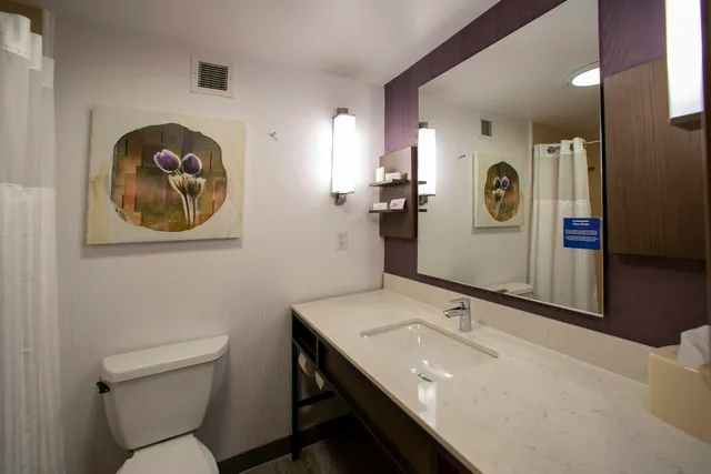 جناح جونيور بسرير كينج مع أريكة، Hilton Garden Inn Rapid City 3/3