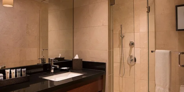 Suite, Millennium Hotel Knickerbocker Chicago 1/1
