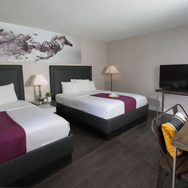 غرفة بسريرين كوين، Hotel Iris San Diego 1/8