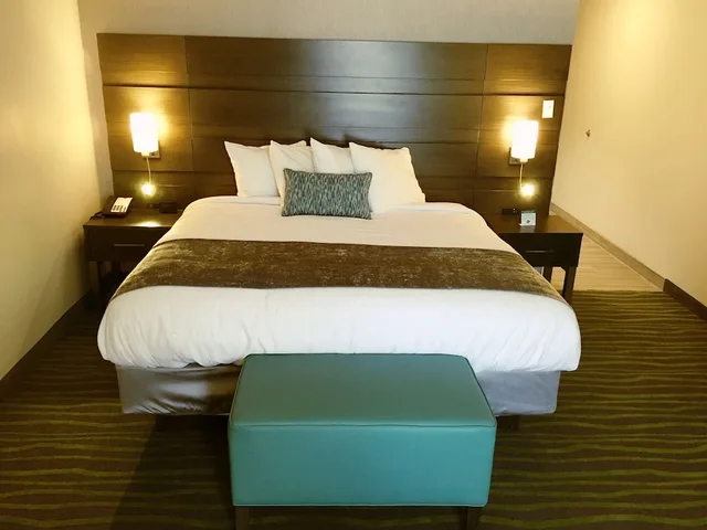 جناح بسرير كينج، Best Western Plus At Prien Lake Inn And Suites 2/6