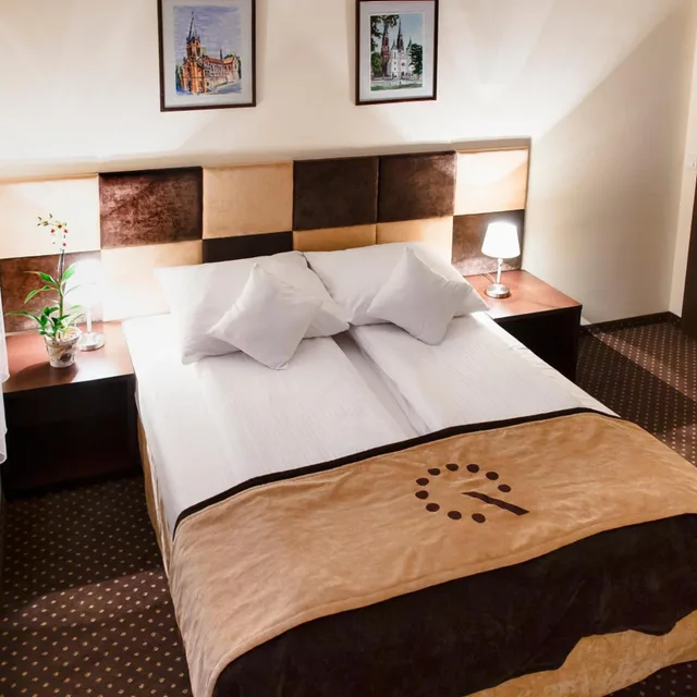 1 Bedroom, Apartment, Boutique Hotel’s Bytom 4/10