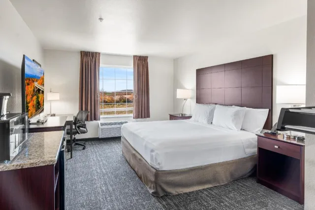Guest Room, Single, King Bed, Accessible, Cobblestone Hotel & Suites - Denmark 1/6