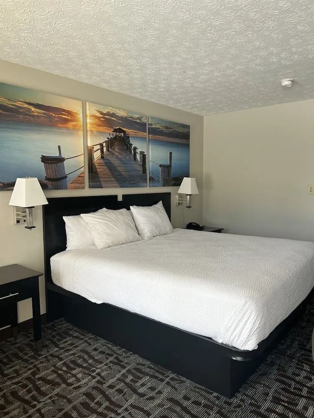 غرفة قياسية بسرير كينج لذوي الإعاقة، Days Inn by Wyndham Douglasville-Atlanta-Fairburn Road 1/10