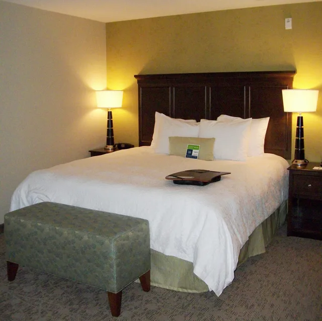 Room, King Bed, Hampton Inn Suites Manteca 1/8