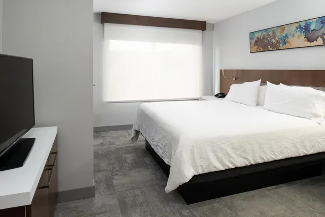 Junior Suite, King Bed, Sofa, Accessible, Hilton Garden Inn Baton Rouge Airport 4/5