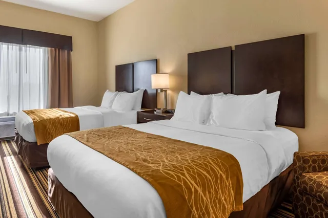 غرفة سوبيريور بسريرين كوين، Comfort Inn & Suites Triadelphia - Wheeling 3/10