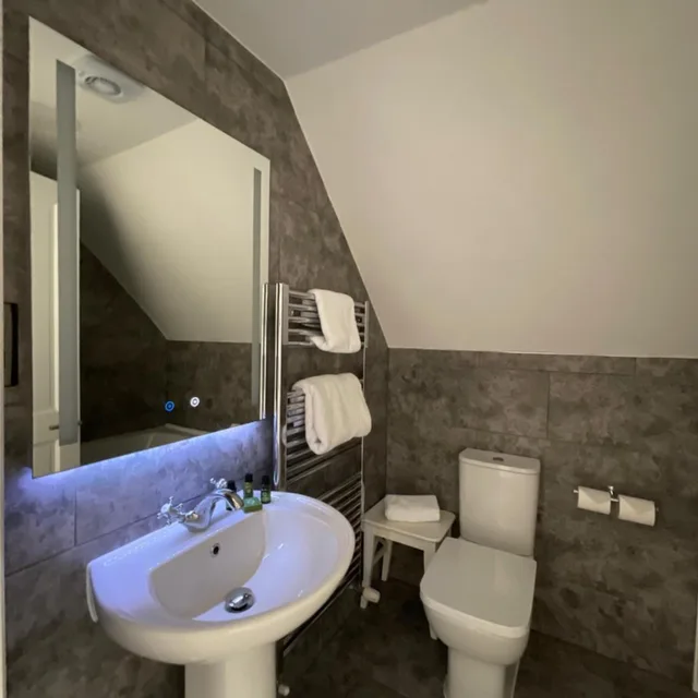 غرفة كلاسيكية مفردة، The Riverside, WorldHotels Distinctive 8/12