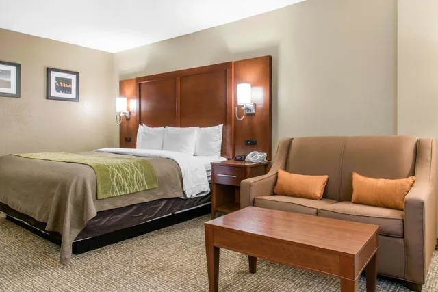 غرفة قياسية مفردة بسرير كينج مع أريكة في الطابق العلوي، Comfort Inn MSP Airport - Mall Of America 6/10